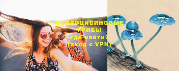 мяу мяу мука Алексин