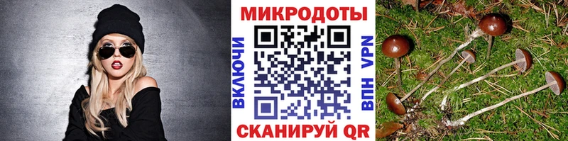 Галлюциногенные грибы мухоморы  Урюпинск 